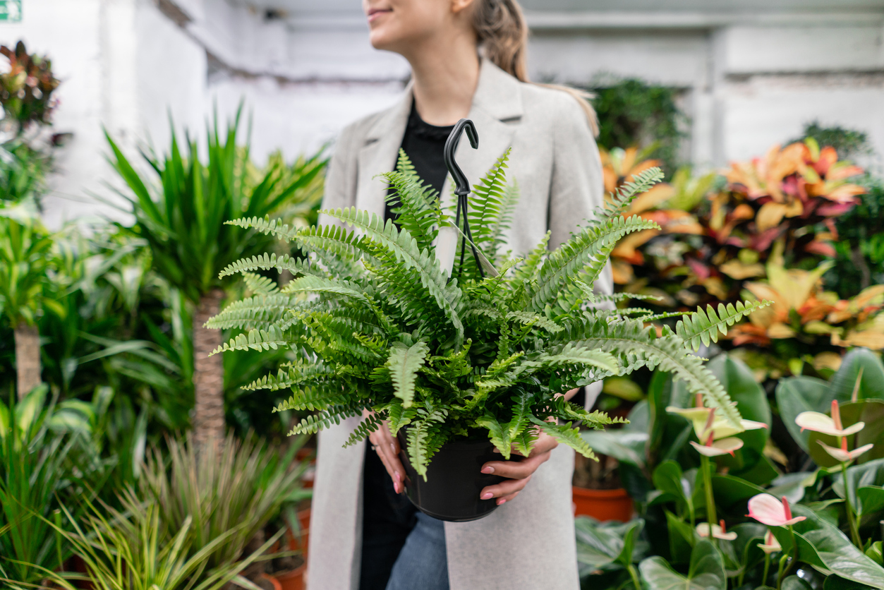 garden centre retail system