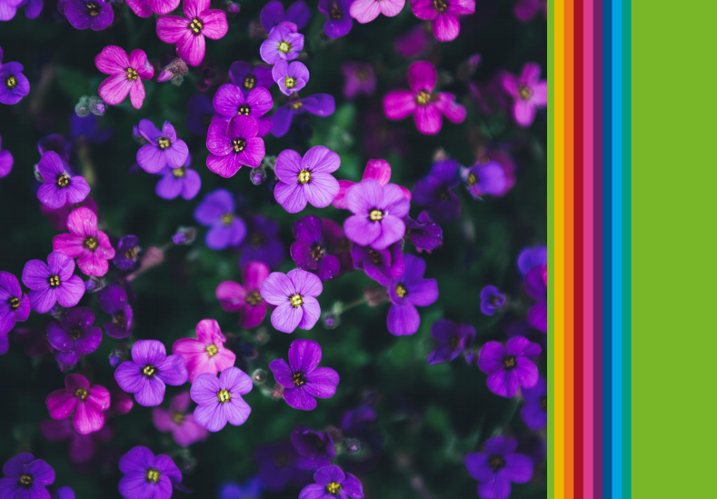 HTA Garden Centre Trading Guidance