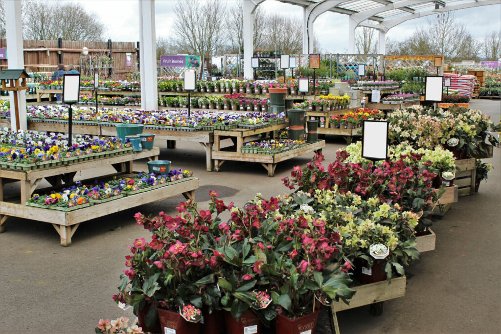 Chepstow Garden Centre Retail