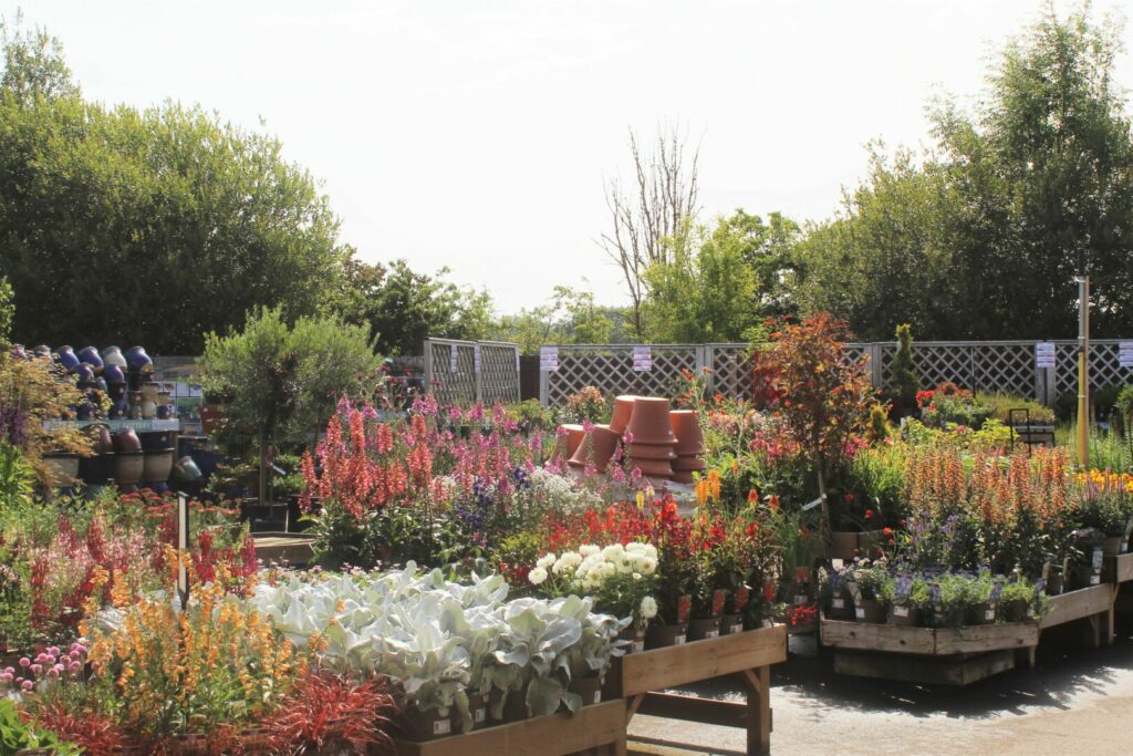 Chepstow Garden Centre outdoor